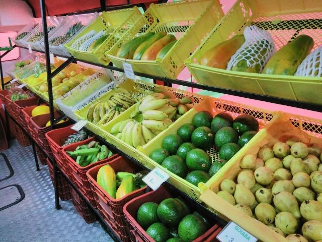 Ônibus Loja Hortifruti Móvel - Foto 3
