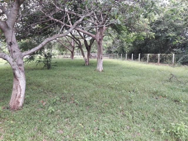 Vende-se uma chácara na beira do rio Cuiabá - Foto 11