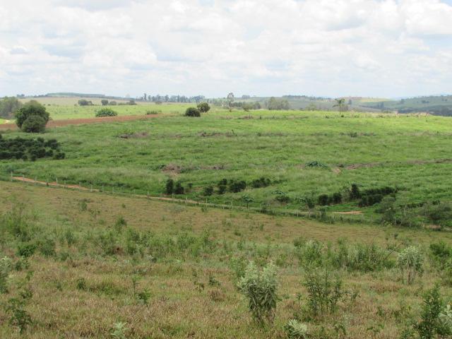 Fazenda para Venda em Alfenas, Rural - Foto 11