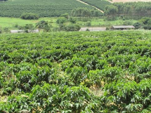 Fazenda para Venda em Alfenas, Rural - Foto 6