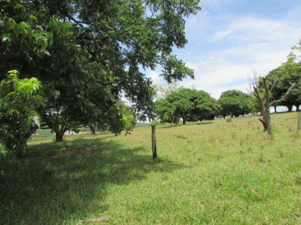 Fazenda para Venda em Alfenas, Rural - Foto 8