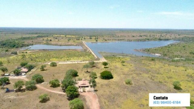Fazenda no Tocantins - Foto 8