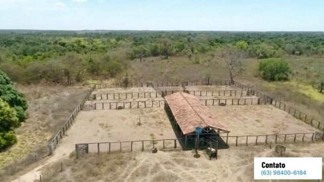 Fazenda no Tocantins - Foto 9