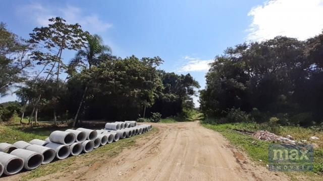 Terreno à venda em Meia praia, Navegantes cod:6936 - Foto 3