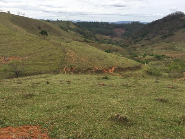 Venda-se está fazenda de 250 alqueires no Município de Fervedouro/MG - Foto 6