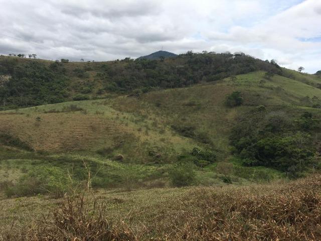 Venda-se está fazenda de 250 alqueires no Município de Fervedouro/MG - Foto 3