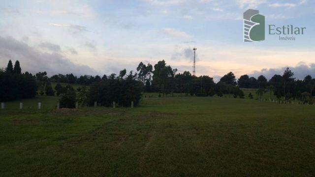 Terreno 15 minutos do centro de são josé dos pinhais. - Foto 7
