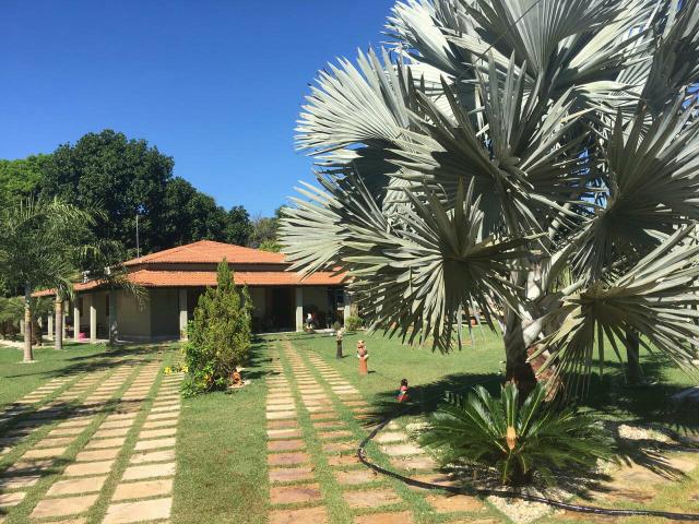 Vendo chácara em Ribamar fiquene !!!a 50k de Imperatriz - Foto 6