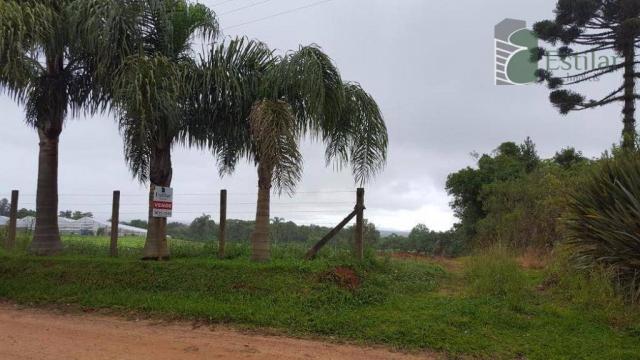 Terreno na colônia murici em são josé dos pinhais. - Foto 11