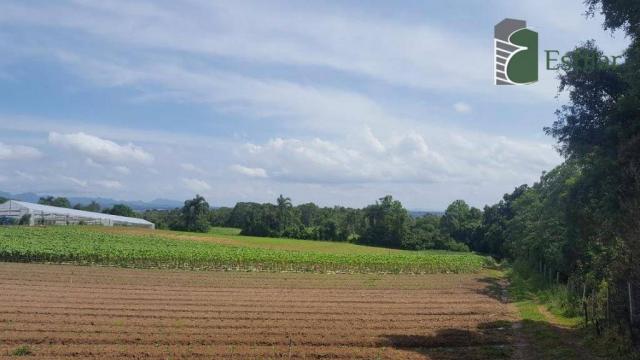 Terreno na colônia murici em são josé dos pinhais. - Foto 2
