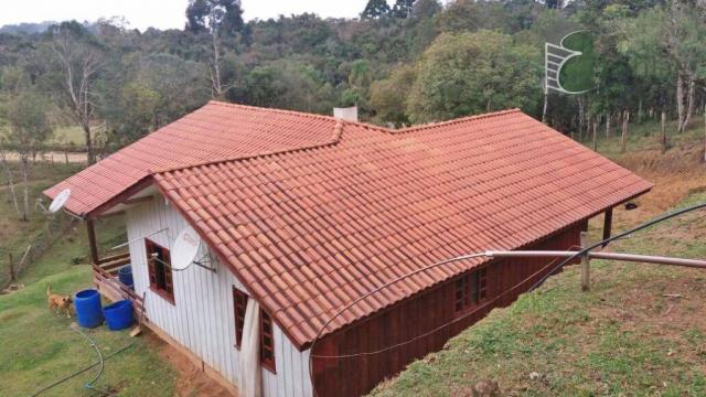 Chácara na colônia murici (são josé dos pinhais) - distrito. - Foto 17