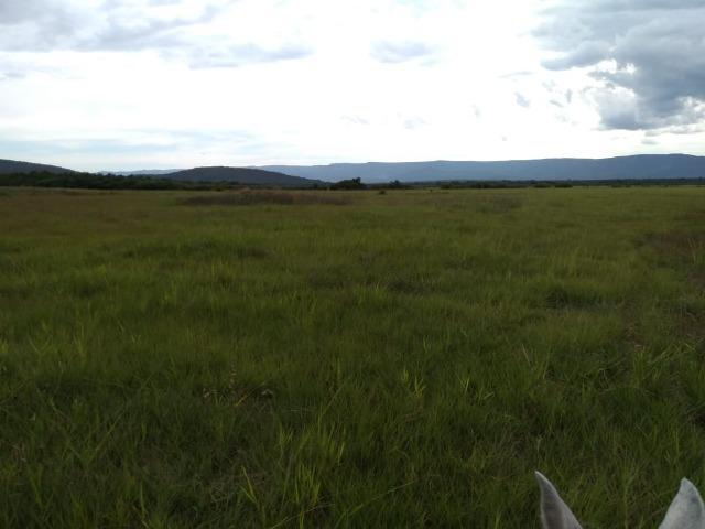 Excelente Fazenda de 1.955,79 Hectares em Formosa-GO - Foto 20