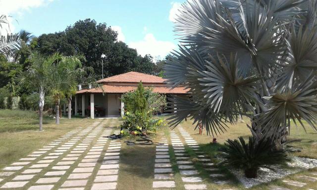 Vendo chácara em Ribamar fiquene !!!a 50k de Imperatriz - Foto 9
