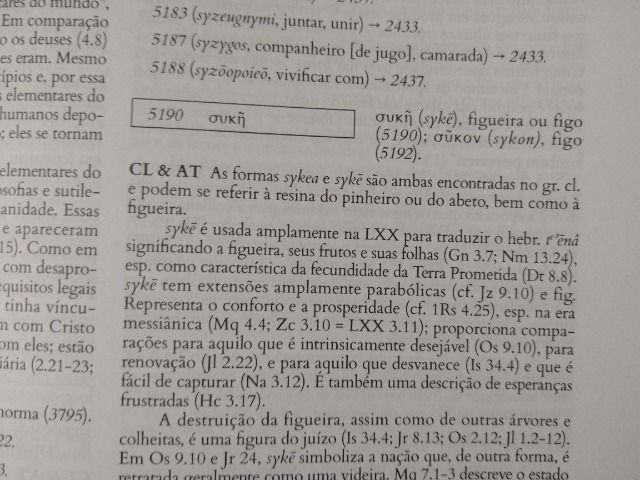 Dicionário Internacional de Teologia do Novo Testamento - Foto 2