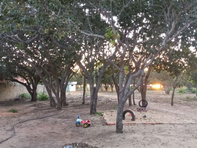 Chácara na Beira do Lago! 14 km de Palmas! Praia de Águas Cristalinas! - Foto 14