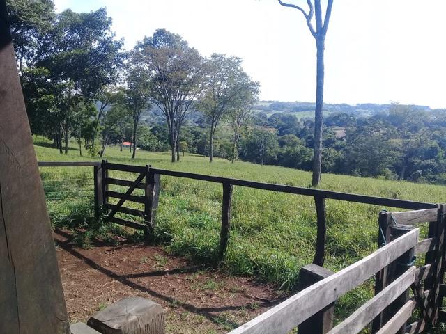 Chacara de 3 alqueires em bela vista 52 km de goiania - Foto 3