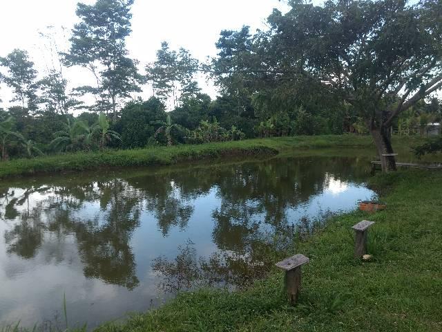 Troco ou vendo chácara - Foto 13