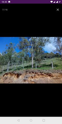 Vendo terreno a 7 kilomentro do centro de Santa Leopoldina fica e em Bragança - Foto 13