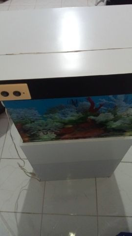 Oportunidade para Hobbista! Aquário Completo Com Móvel - Foto 2