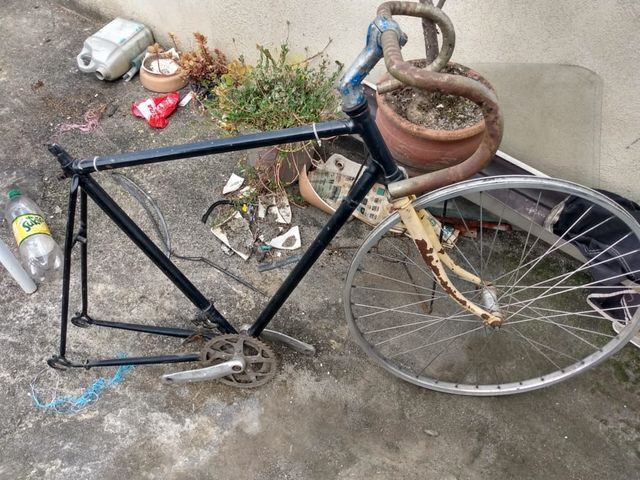Quadro de Caloi 10