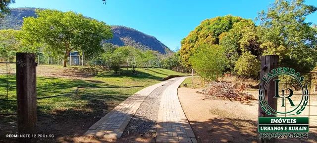 Chácara 44.000M²  Região Taquaruçu Grande - Foto 4