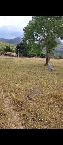 Fazenda(inha) chácara Cavalcante Goiás  - Foto 2