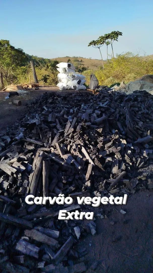Carvão Vegetal Extra - Qualidade Premium r$ 40