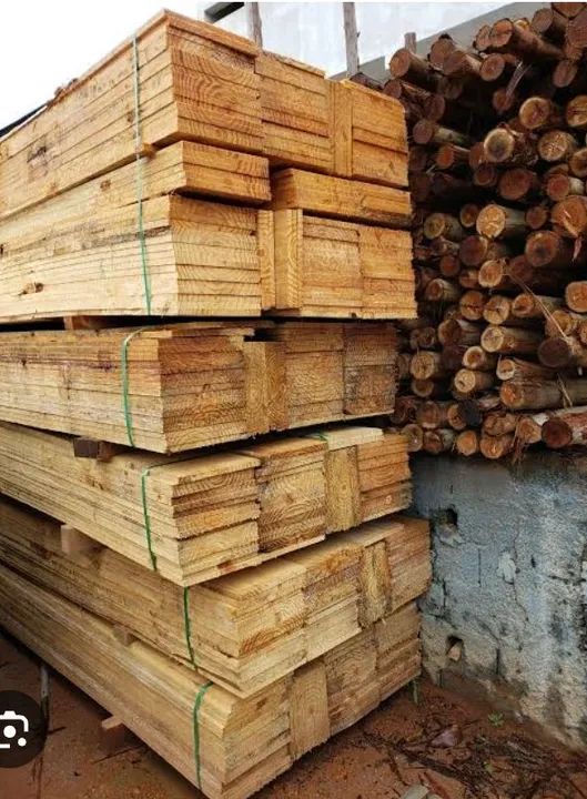 PONTALETES DE EUCALIPTO PARA ESCORA E TÁBUAS E SARRAFOS ( PROMOÇÃO ) - Foto 2