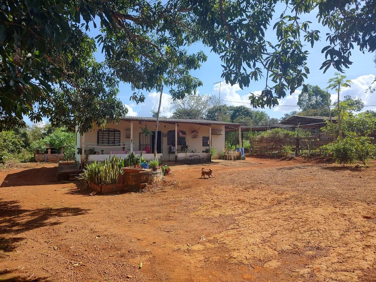Chácara 40.000 M2 formada jardim ingá Luziânia go - Foto 4