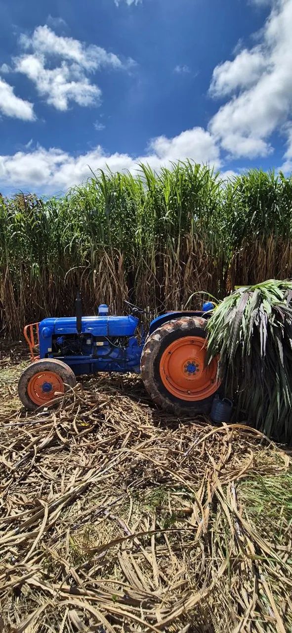 Trator agricola Ford Dexta  - Foto 2