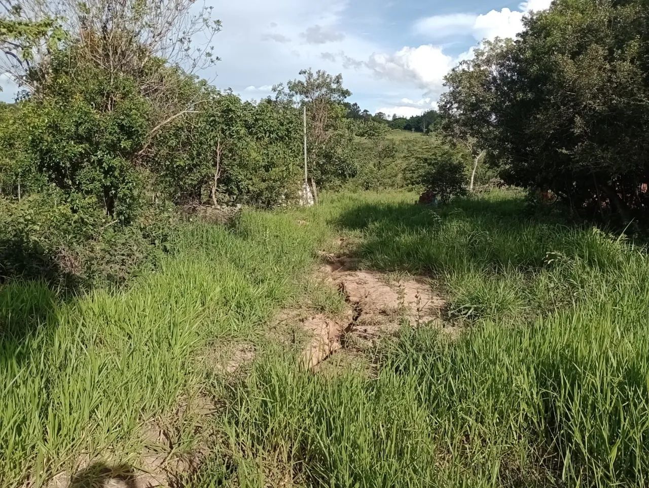Foto - Anápolis - Parque das Nações