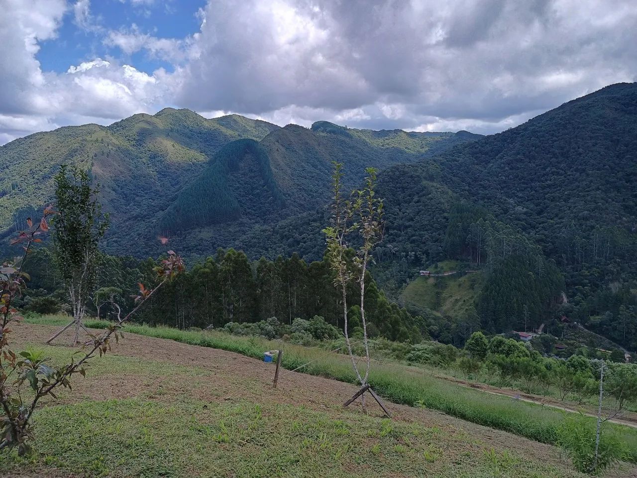 ANITÁPOLIS/SC - Belíssimo Sítio de 15hectares com casa e área verde com vista espetacular! - Foto 4