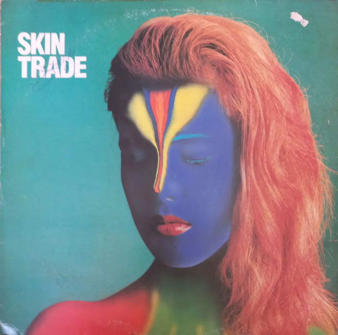 VENDO LP DISCO VINIL SKIN TRADE 