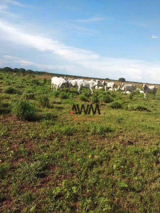 Fazenda à venda,  m² por R$ 200.000.000,00 - Zona Rural - Duerê/TO