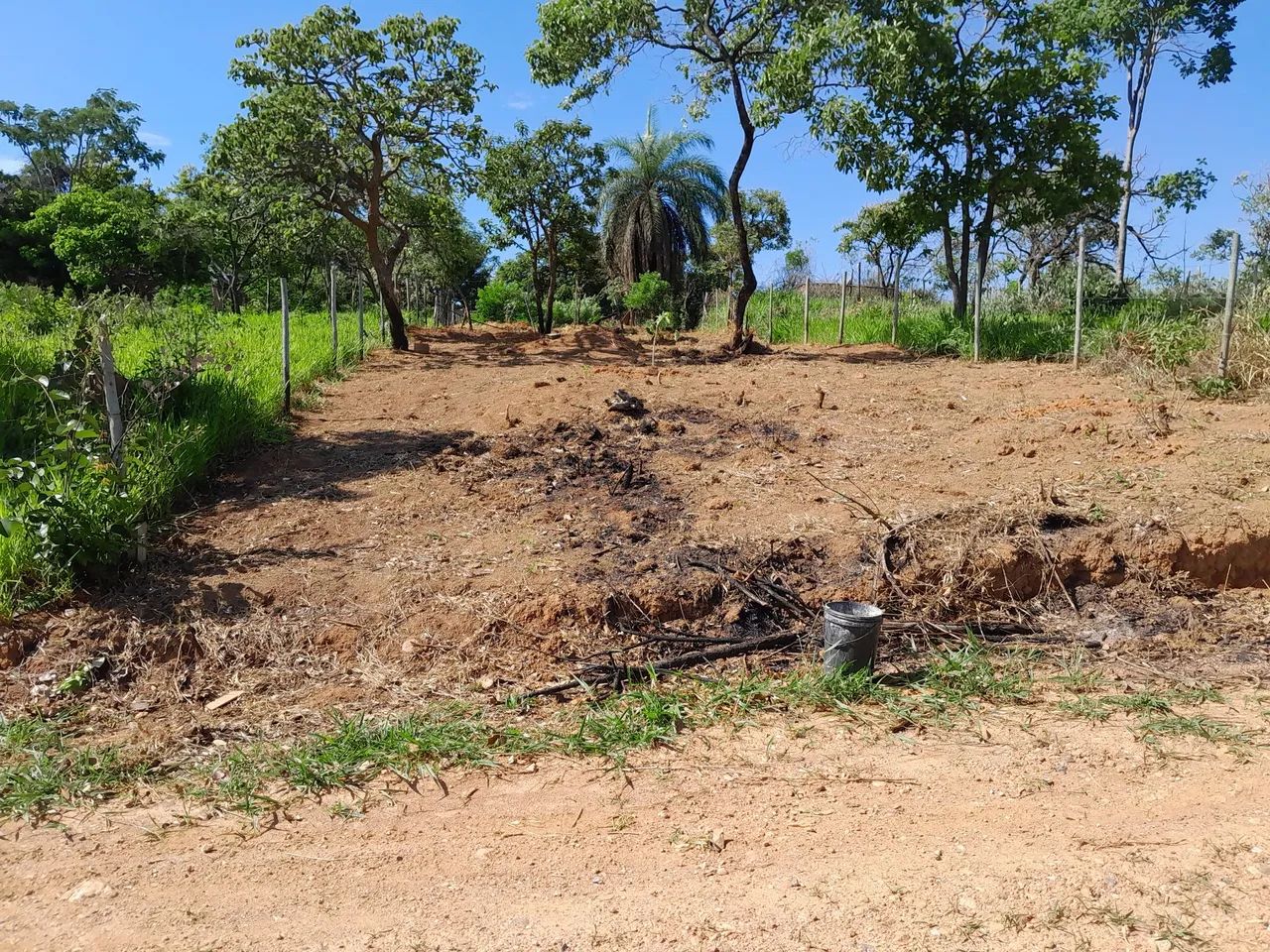 Lotes com fácil ascesso - Foto 4