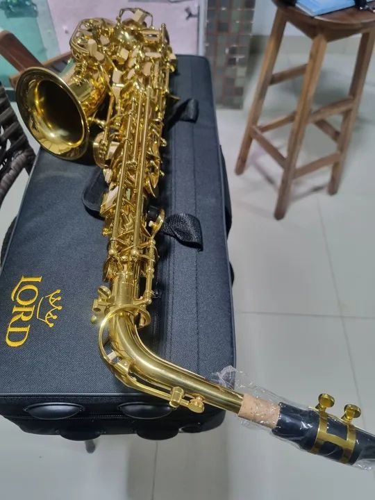 Sax Alto Mib novo Na caixa - Foto 5