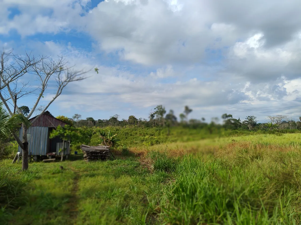 Vendo essa colônia na estrada de sena madureira km 72 2