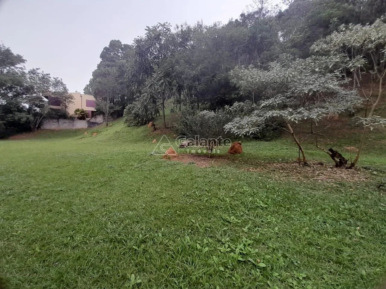 terreno - Colinas do Ermitage (Sousas) - Campinas - Foto 6