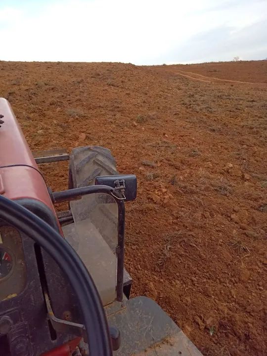 ARRENDO 10HEC PRA GADO OU IRRIGAÇÃO, EM LAGAMAR!! - Foto 5