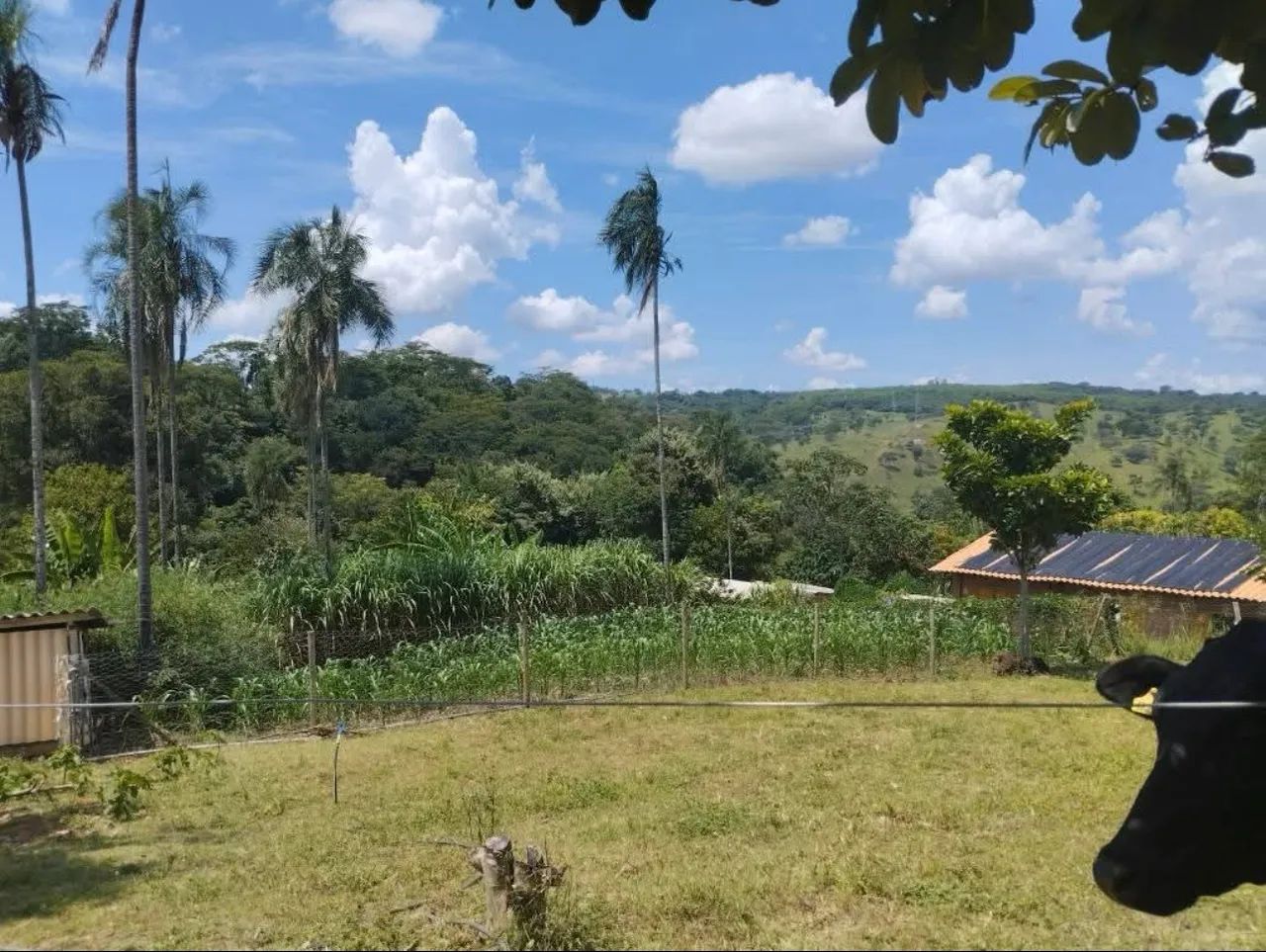 Vendo Chácara em Muribeca  - Foto 5