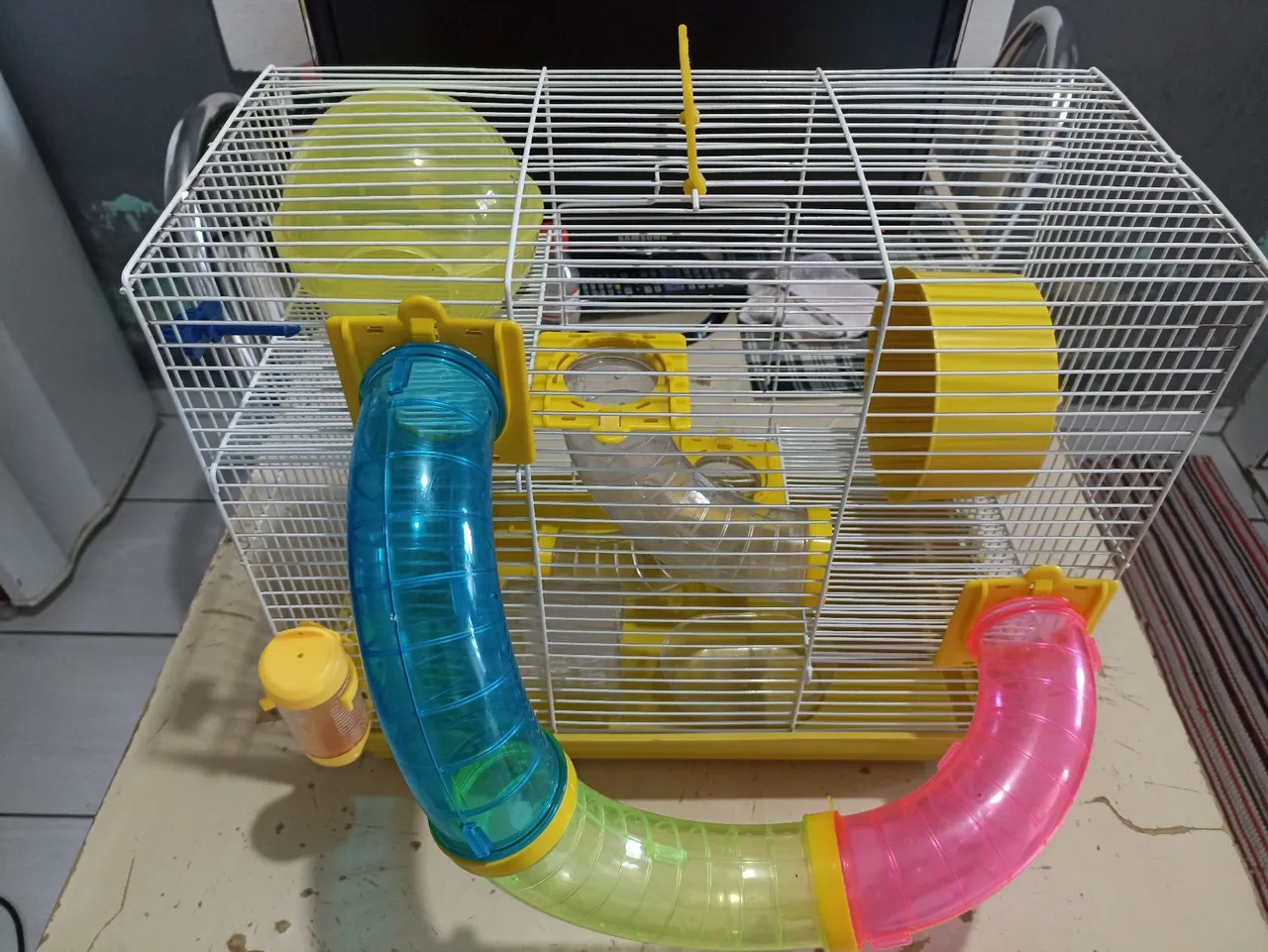 Gaiola hamster