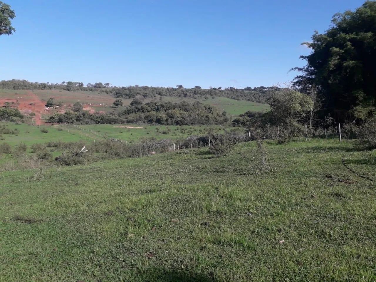 Fazenda à venda no triângulo Mineiro 