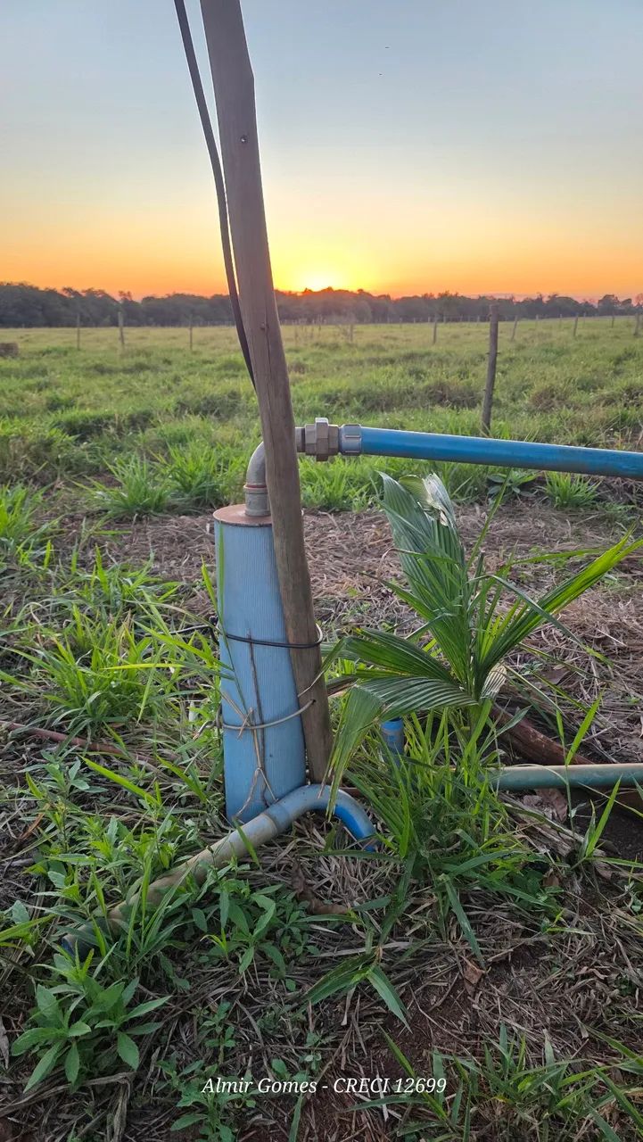 Chácara de 5.7 Hectares em Jaraguari!!  - Foto 5