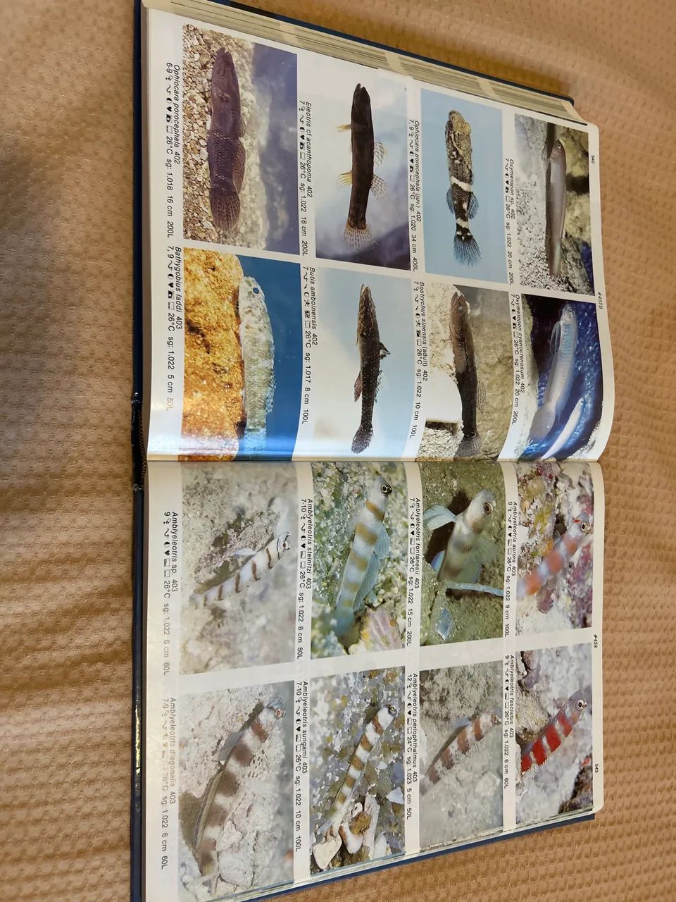 livro Dr. Burgess's Atlas of Marine Aquarium Fishes - Livros e