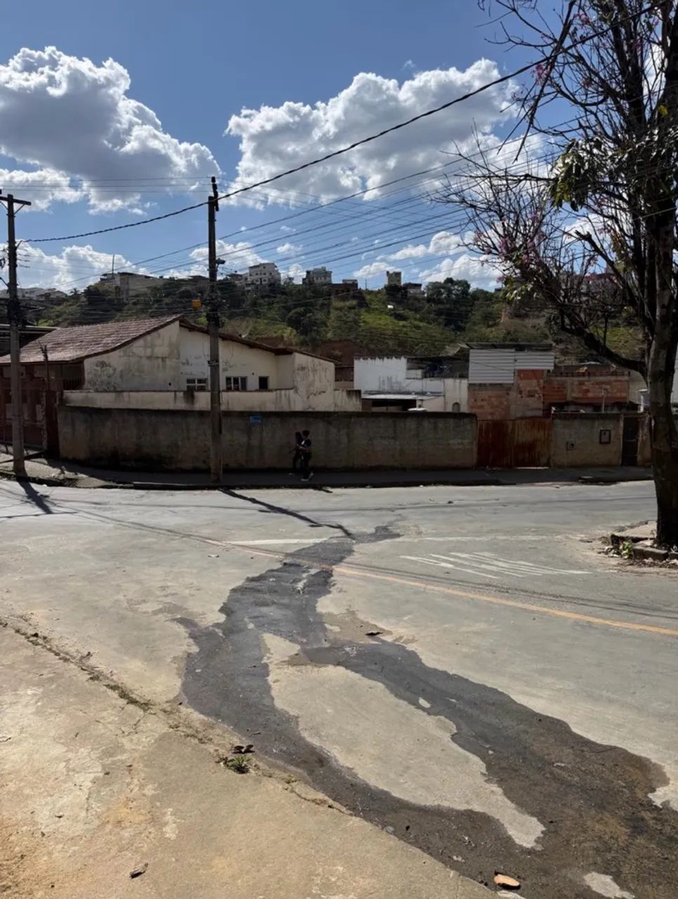 Lote 100% plano e todo murado. 