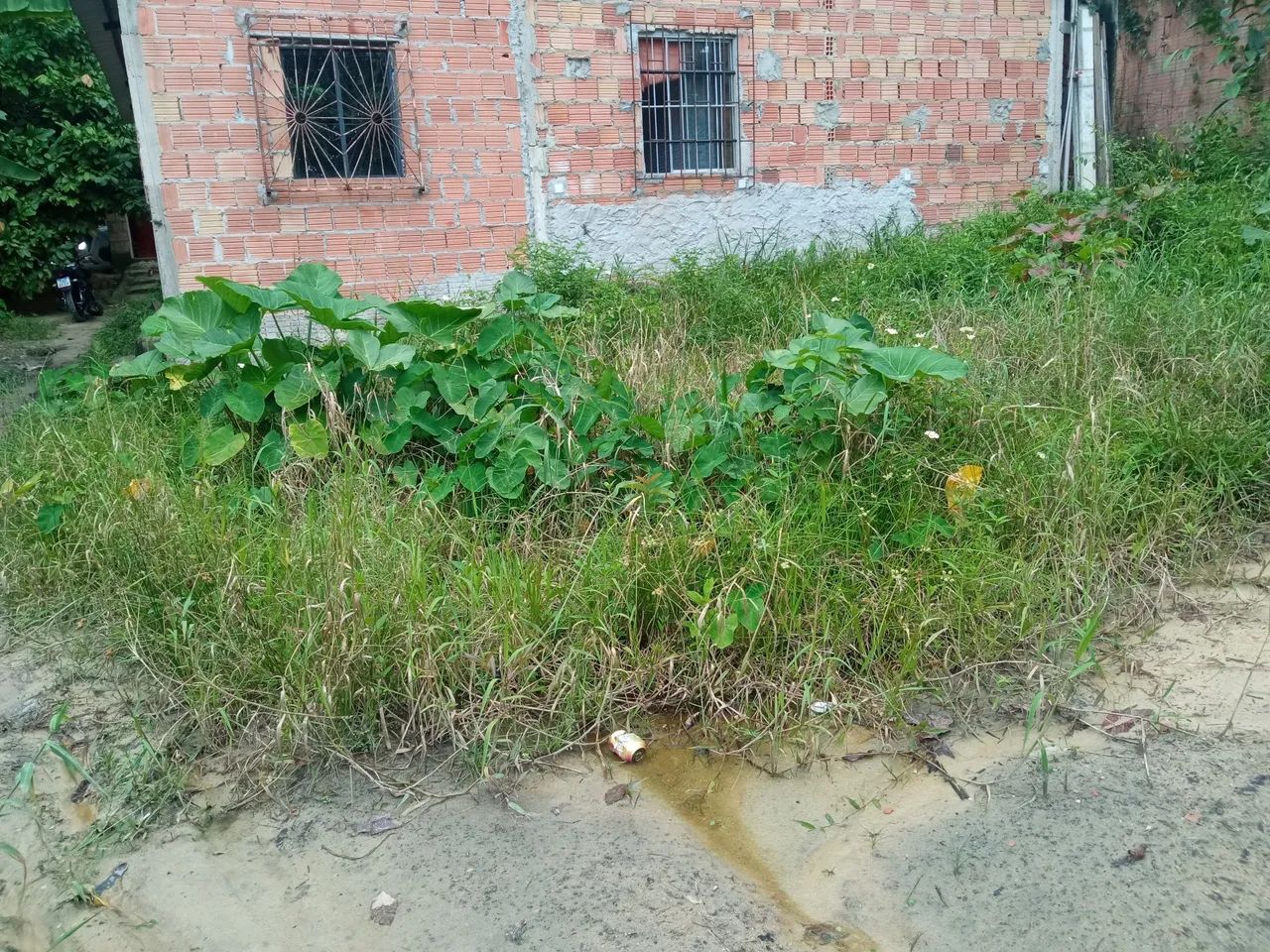 Terreno 12x6