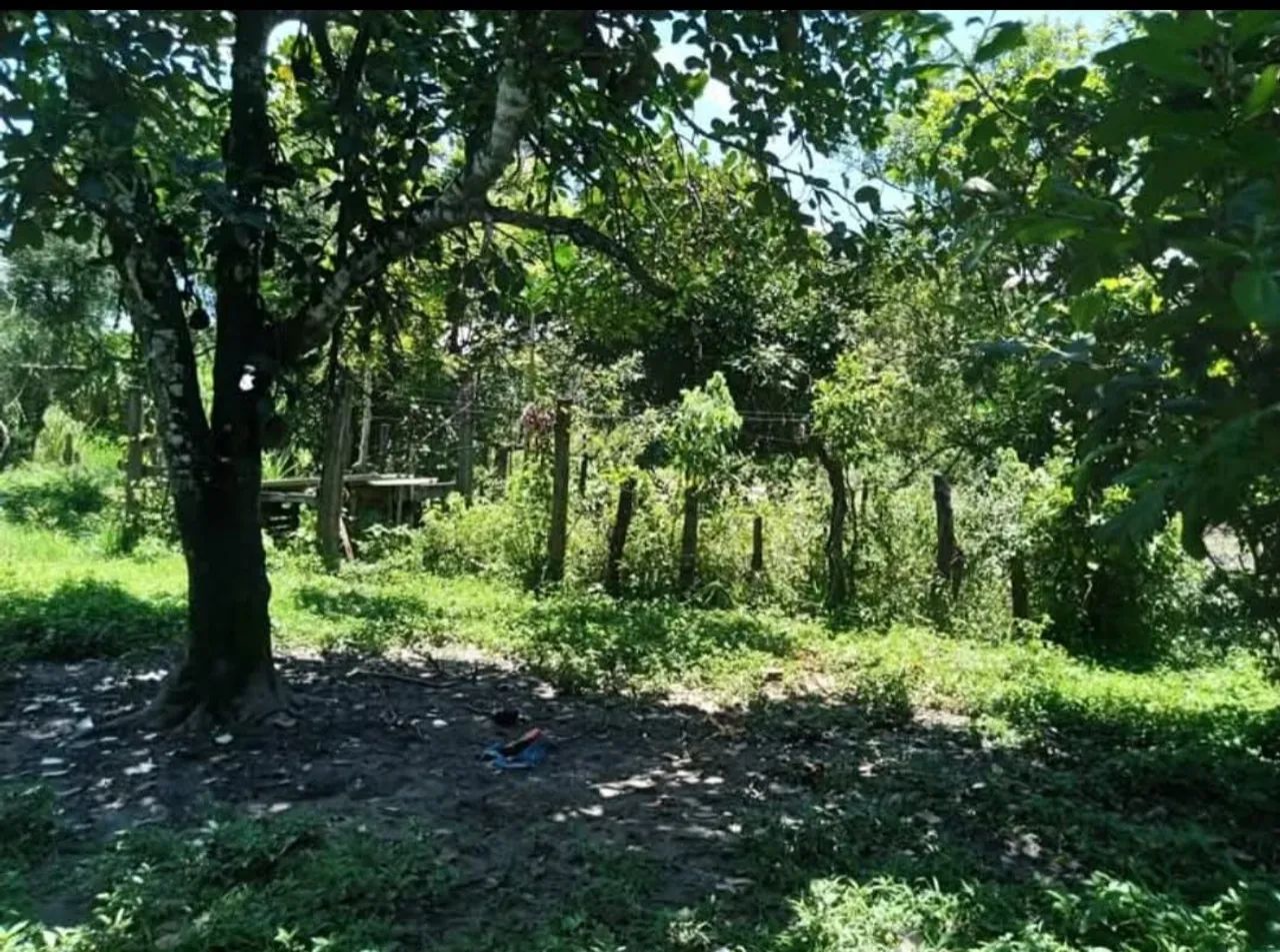 Vendo um terreno com pequena kitinet  - Foto 4