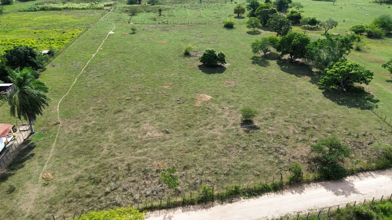 Foto - Conceição da Feira - 