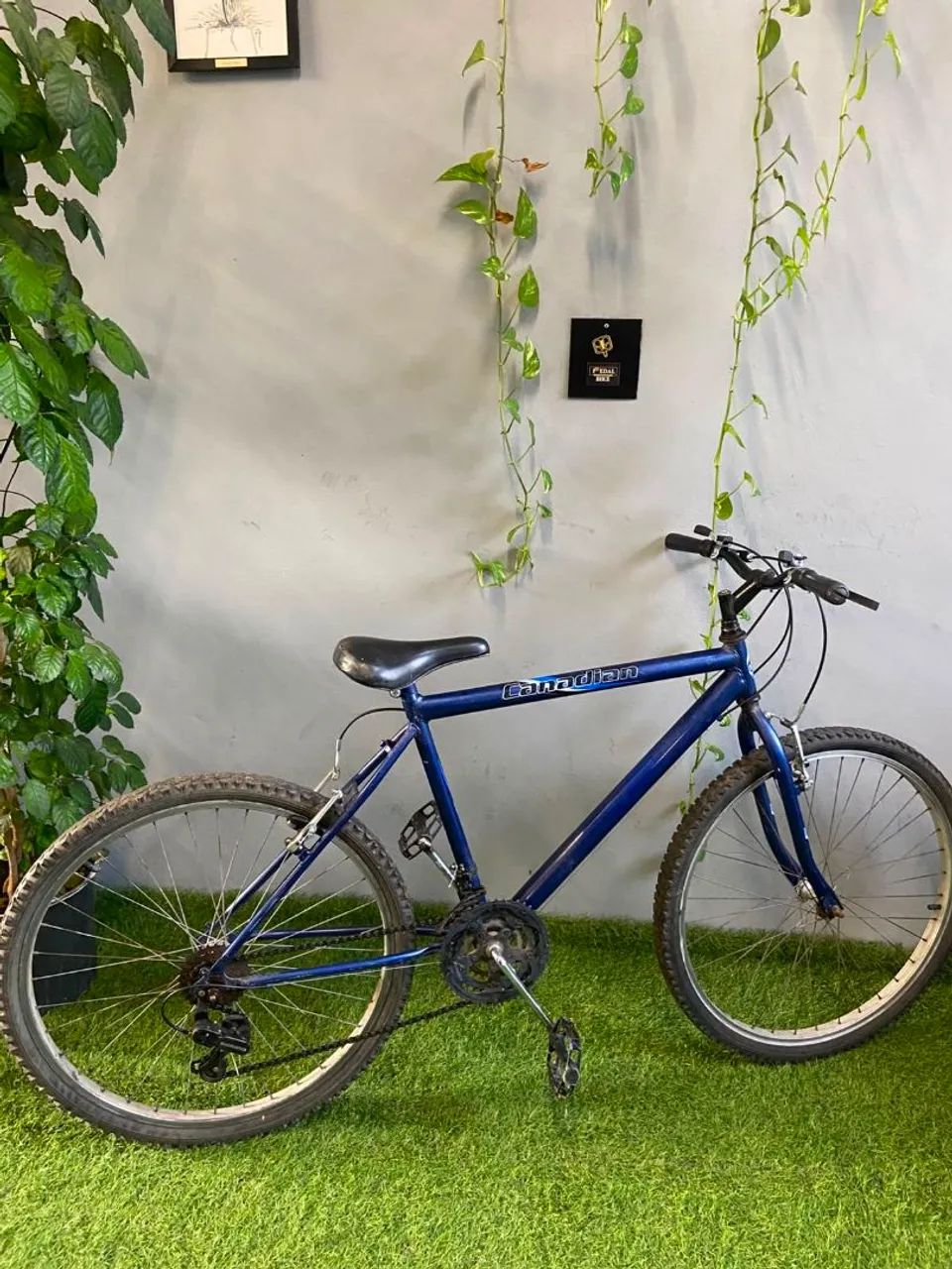 Bicicleta 26 Canadian - Foto 4