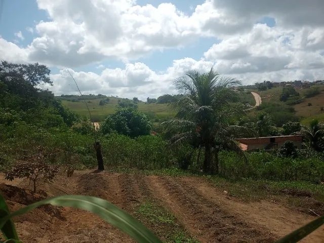 Foto - Coração de Maria - 